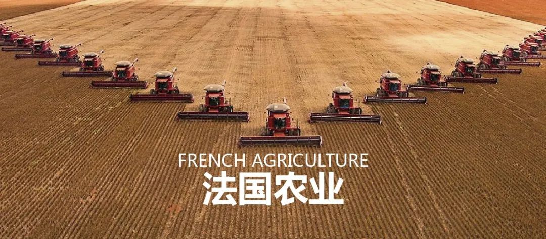 法国农业：欧盟农业大国，靠这6大战略制胜市场